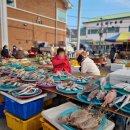 감포어시장 이미지