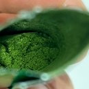 푸른건강녹즙 | 케일가루 - 뉴트리원 컬리케일 섭취 후기