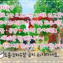 몽실이비어 이미지