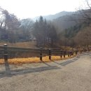 역마차 카페 | 홍천 가리산 자연휴양림(대추나무방) 후기,카페 역마차 후기