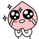 당진Y복싱클럽 이미지