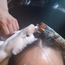 유원 | 강남역 미용실 준오헤어 강남역스퀘어점 긴머리 젤리펌 유원 부원장님 후기