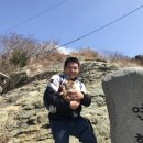 마피아떡볶이 하단점 | 시즌온과 섬여행과 덜핀꽃구경+통영모다,순천유앤아이