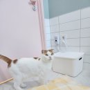 잔다냥 천안점 이미지