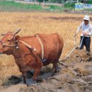 역사문화체험관 이미지