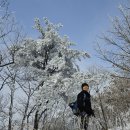 [경북 포항] 곰바위산, 배틀봉 설산 산행