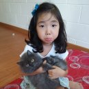 수빅 실내골프연습장 이미지