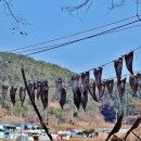 덕명
