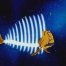 공주(대전) 이미지