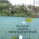 궁항로 네이버블로그