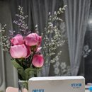 주식회사 오설록 이미지