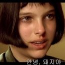 마장황소곱창 이미지