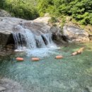 가족공원길 이미지