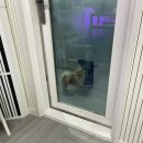 AI 활용 프로그램 | 부산 서면 미디 학원 하우스뮤직아카데미 추천 AI 프로그램 활용해서 작곡 배우기