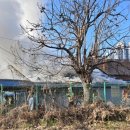 용산-현장-87 이미지