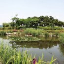 (주)한국엔지니어링[수질]