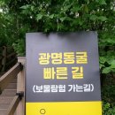 시흥시민햇빛 8호 발전소 | 서울근교 여름 최고여행지, 광명동굴~시흥연꽃테마파크~안산 대부도해솔길