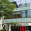 카레나이스 이미지