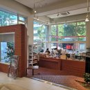 브라운칩 이미지