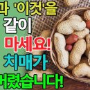 땅콩과 상극인 음식 TOP 3! 절대 같이 섭취하시면 안됩니다!! 이미지
