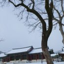 능주면사무소 이미지