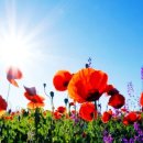 송도퍼스트치과의원 이미지