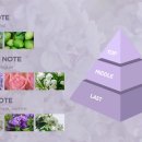 바이벨라 이미지