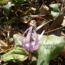 구암동112 이미지