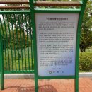 사노리안말 이미지