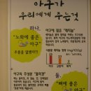 아구본가 이미지