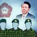 일선 이미지