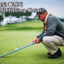 그린그린한오후 이미지