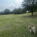 현촌근린공원 이미지