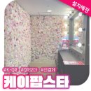 팝스타코인노래연습장 이미지