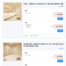 스테이509