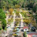 문수힐링피크닉장 이미지