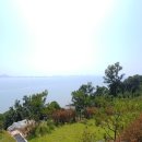 스카이랜드부동산중개법인 이미지