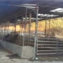 옥동4길(옥동) 이미지