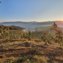 두평농장 이미지