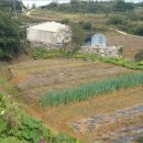 고금면-1 이미지