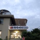 삼도낙지