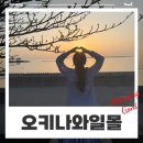 길愛 예술- 자전거 | 오키나와 일몰 선셋 에메랄드비치 : 비세후쿠기길 무료 주차장 자전거