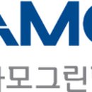 아모 이미지