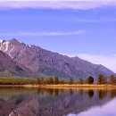 자연-이미지 이미지