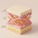 윤슬한의원 | 창원 실리프팅, PDO 실이 녹는 과정과 리프팅 원리