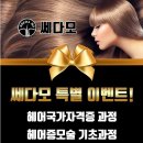 쎄다모 이미지