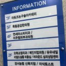 목동하나프라자 | 오목교역미용실 추천 리얼드살롱 두피케어 케어전문미용실 수디자이너 목동미용실 후기