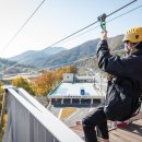 곡성집라인 이미지