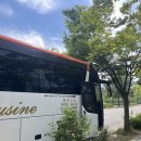 마스코리아(주) | 2025 펜타포트 후기썰 풀어봅니다