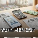 새로나가방 네이버블로그
